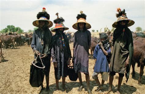 De Opstand van de Yoruba-Koningen tegen de Kanuri-Keizerschap; Een Krachtig Verzet tegen Koloniale Ambities in het Vroegmiddeleeuwse Nigeria